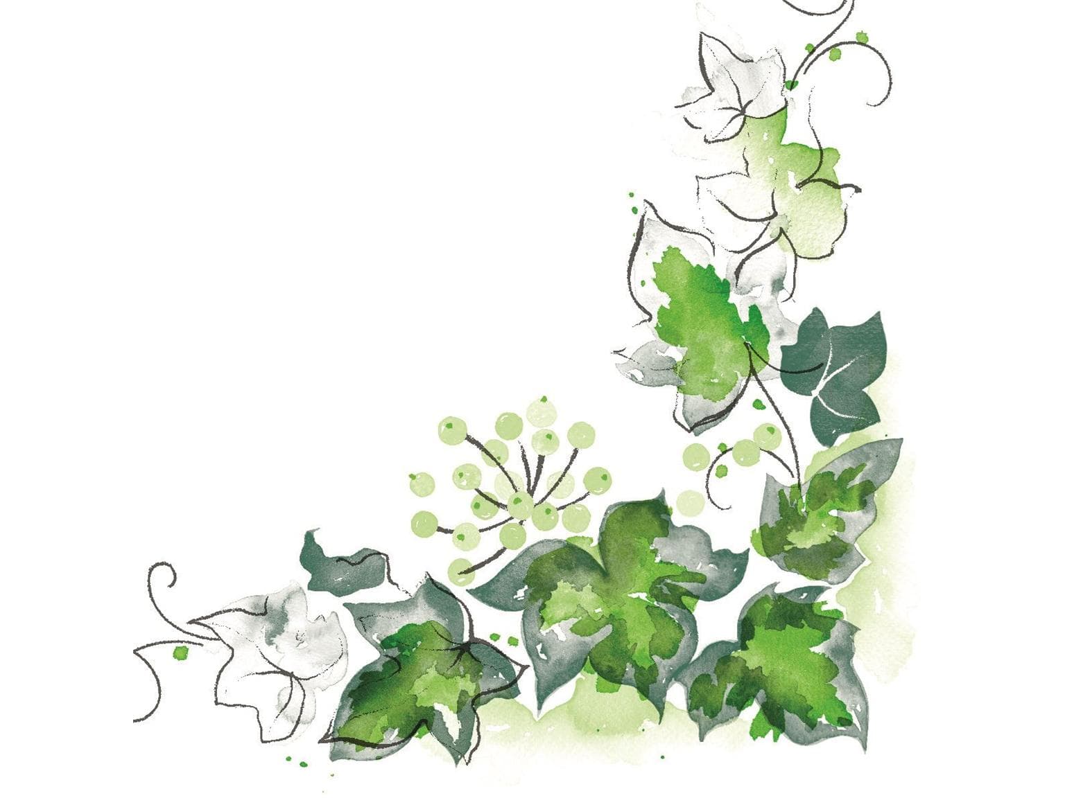 Servietten Airlaid, 40 x 40 cm, 1/4 Falz, "ELENOR  (EFEU)" Efeu