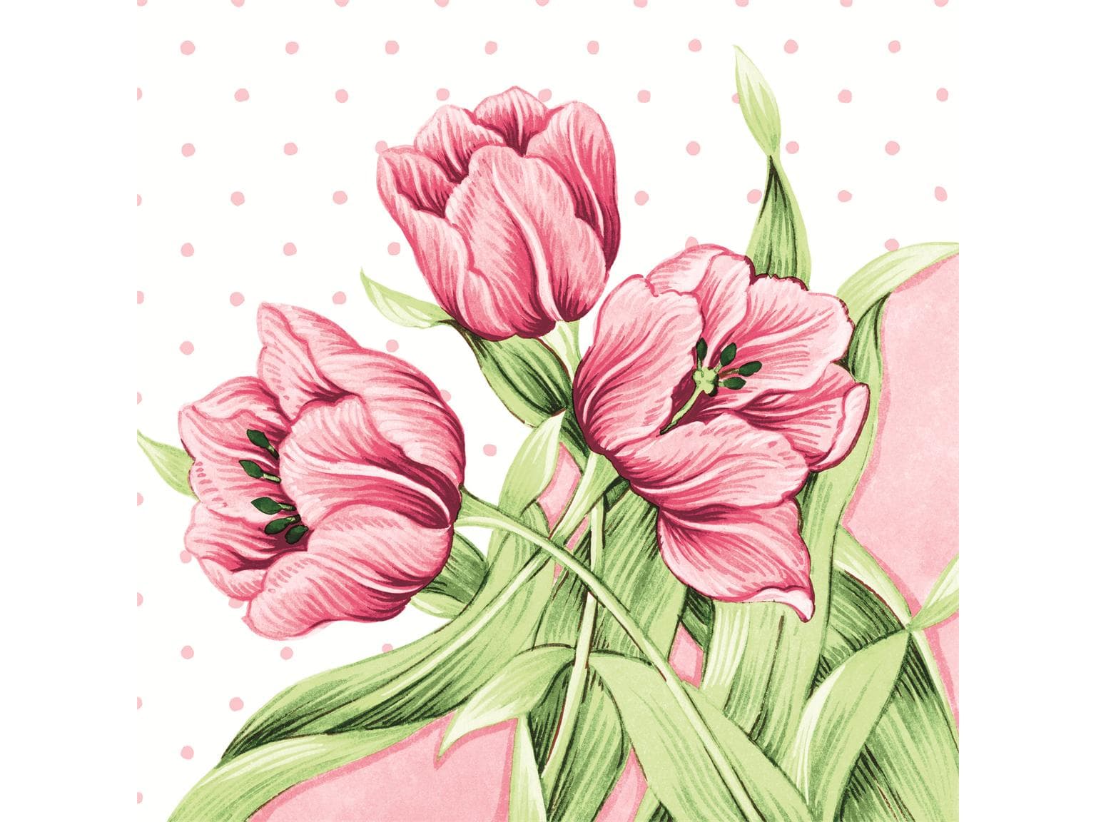 Servietten Airlaid 65 gm2, 40 x 40 cm, 1/4 Falz, "ELSA", rosa/grün