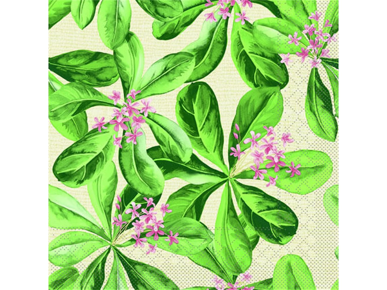 Servietten Tissue 3-lagig, 40 x 40 cm 1/4 Falz, Jane