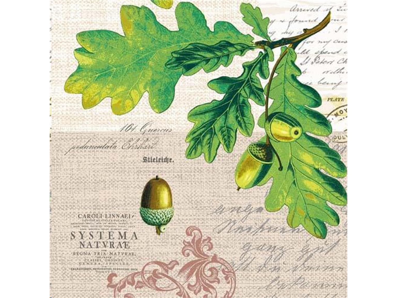 Servietten Airlaid 60 gm2, 40 x 40 cm 1/4 Falz, Simon