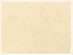 Tischset Graspapier, 40 x 30 cm, BASIC Graspapier