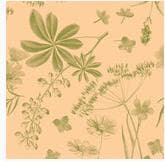 Servietten Airlaid, 40 x 40 cm, 1/4 Falz, "Opus Flora"