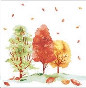 Servietten Airlaid 60 gm2, 40 x 40 cm 1/4 Falz, Herbstwald / Autumn Forest