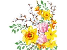 Servietten Airlaid 65 gm2, 40 x 40 cm 1/4 Falz, Antje