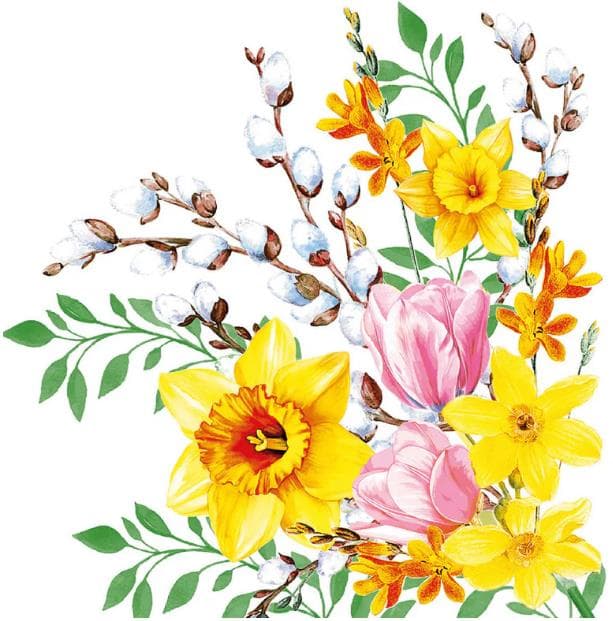 Servietten Airlaid 65 gm2, 40 x 40 cm 1/4 Falz, Antje