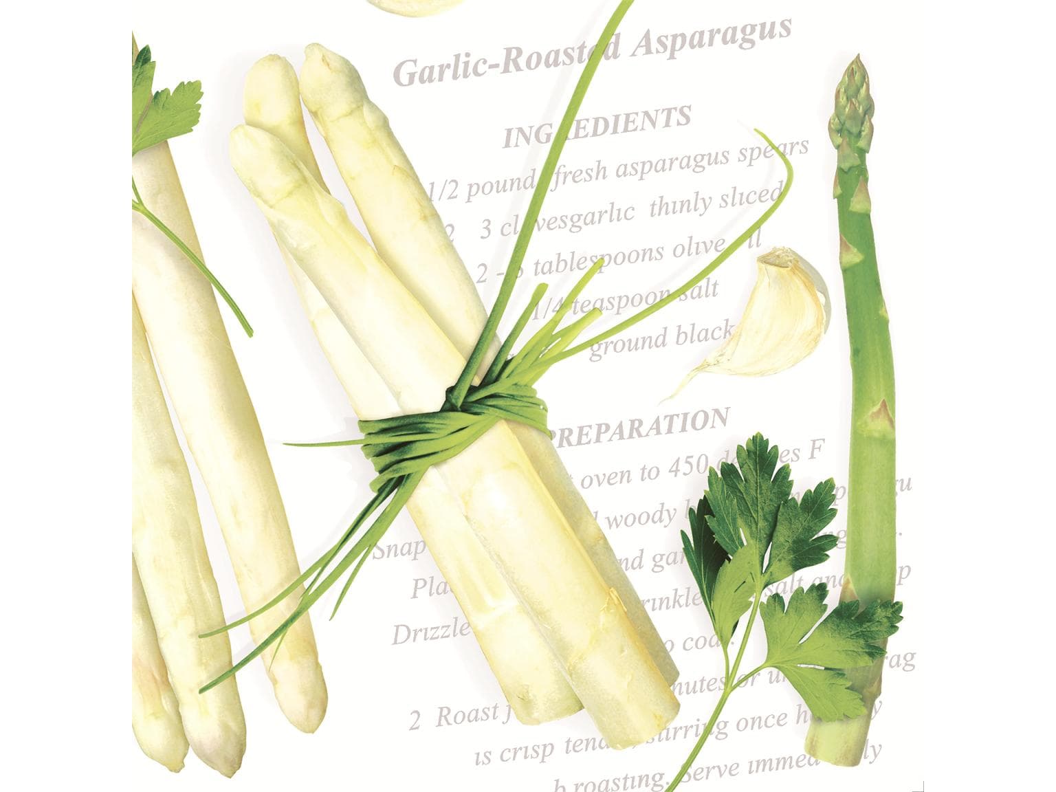 Servietten Airlaid 65 gm2, 40 x 40 cm, 1/4 Falz, "ASPARAGUS"