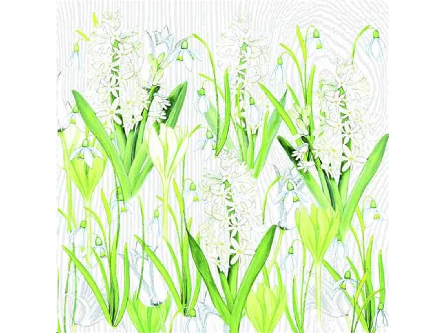 Servietten Airlaid 65 gm2, 40 x 40 cm 1/4 Falz, Amelie