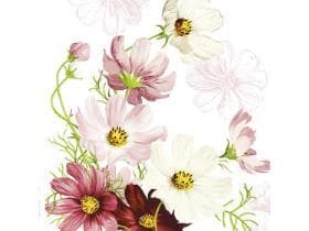 Servietten Airlaid 65 gm2, 40 x 40 cm, 1/4 Falz, "COSMEA"