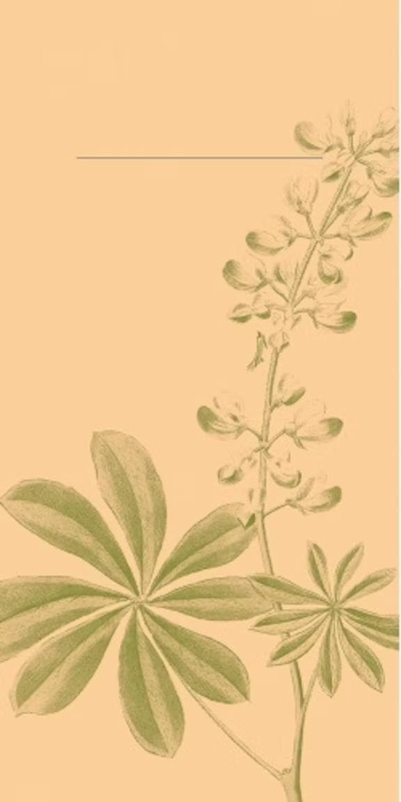 Besteckserviette Airlaid, 40 x 40 cm 1/8 Falz, "Opus flora"