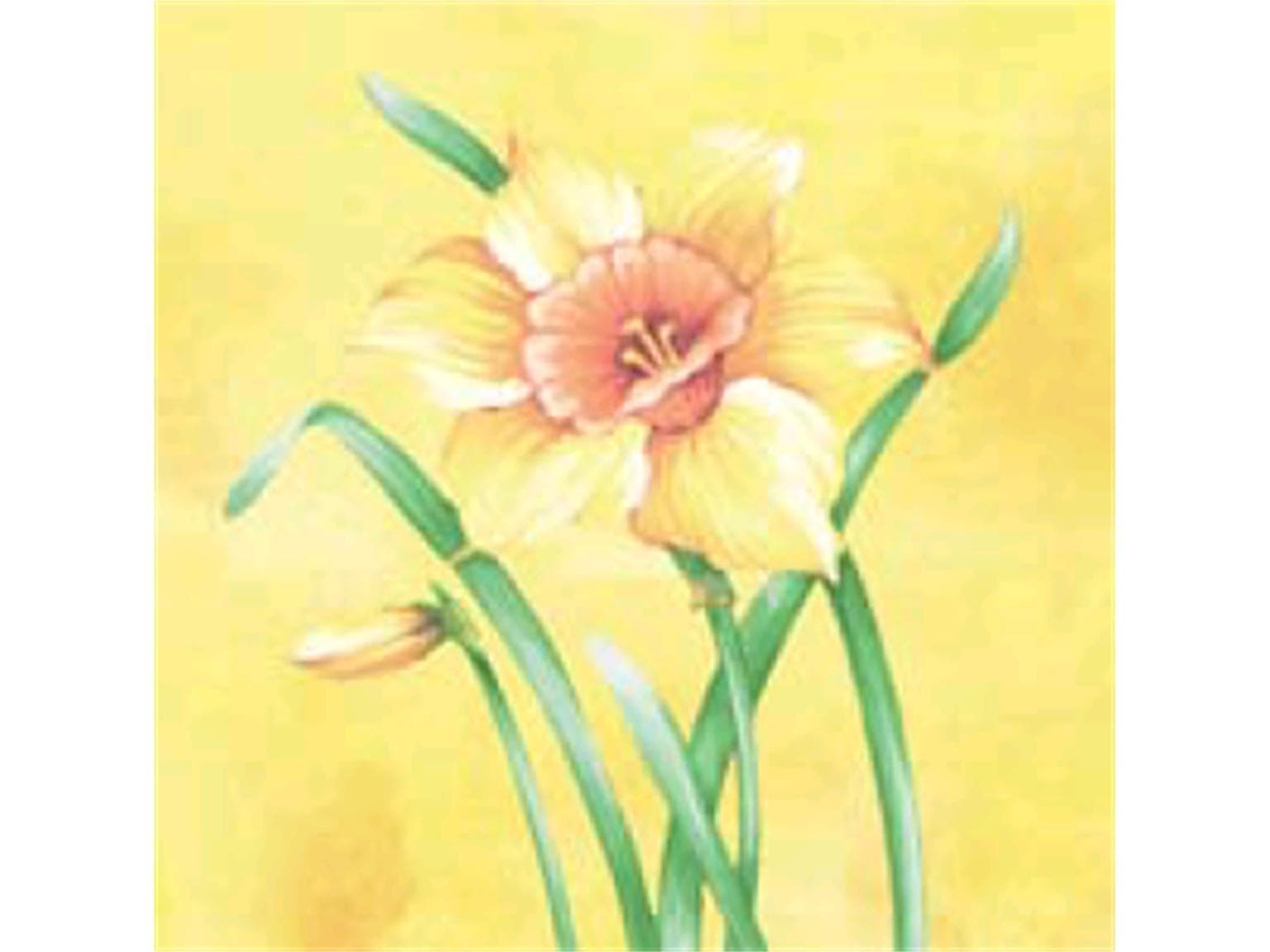 Servietten Airlaid 65 gm2, 40 x 40 cm 1/4 Falz, "ELVIRA"