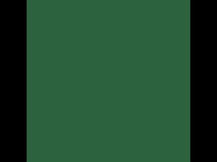 Servietten Airlaid, 25 x 25 cm, 1/4 Falz, dunkelgrün
