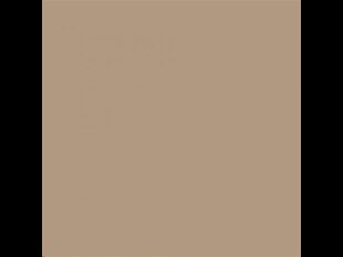 Servietten Softpoint, 17 x 17 cm 1/4 Falz, beige-gey, unbedruckt